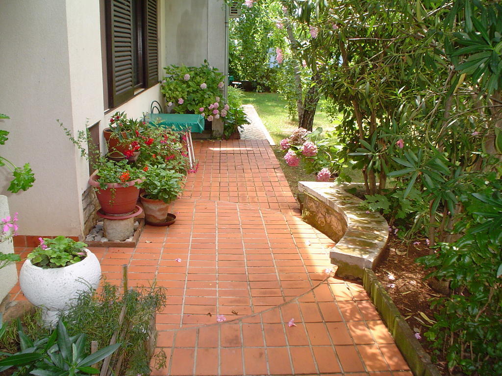 Guest House Jole Rovinj Rum bild
